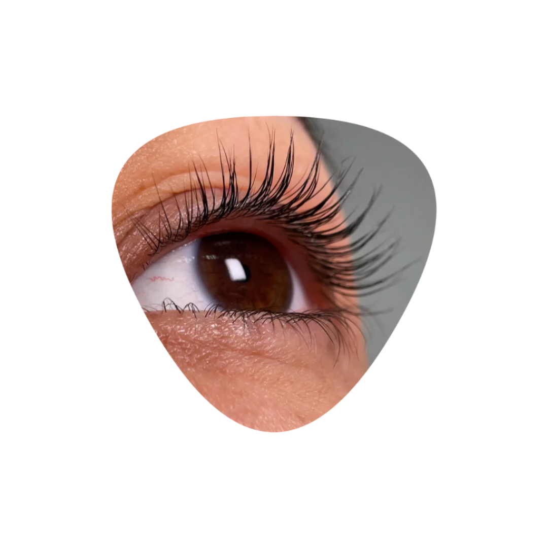 InLei® - FORMA + FORMA UP NEW Universal Eyelash Shields (4 pairs in a pack)