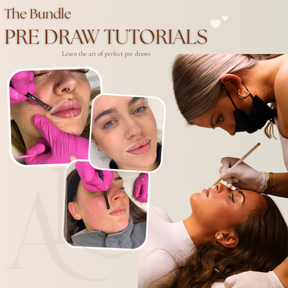 Ashlee Laura Artistry - Lip Blush Pre Draw Bundle