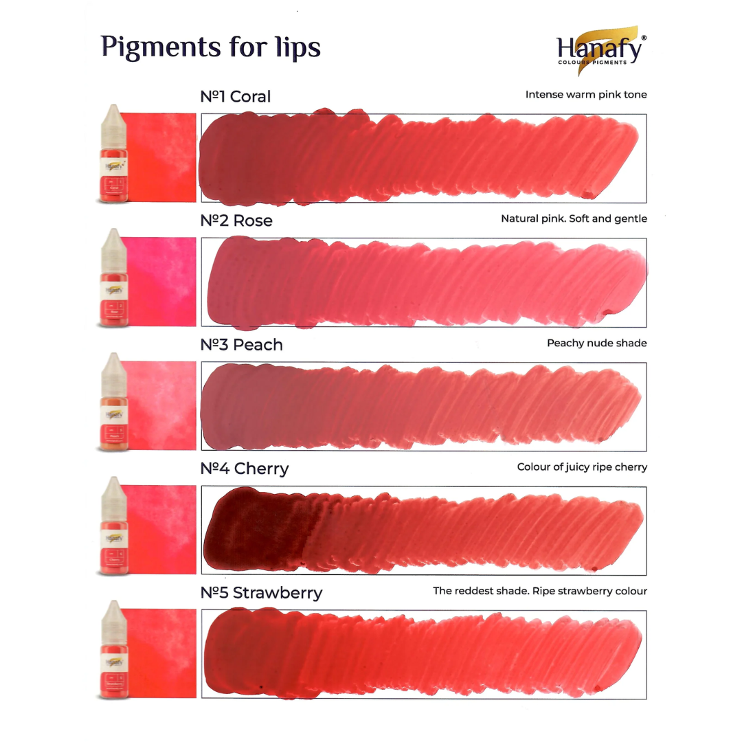 Hanafy - LIPS Pigment Set, 10 x 10ml