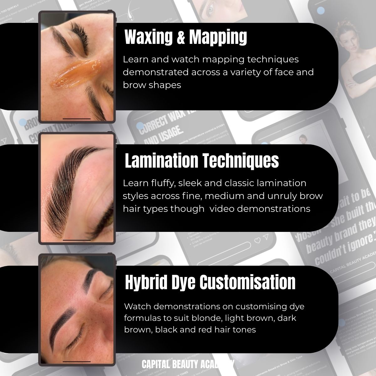 Capital Beauty Academy - Brow Lamination Mastery Online Course