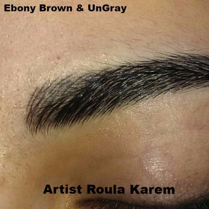 Li Pigments AQUA Ebony Brown 15ml