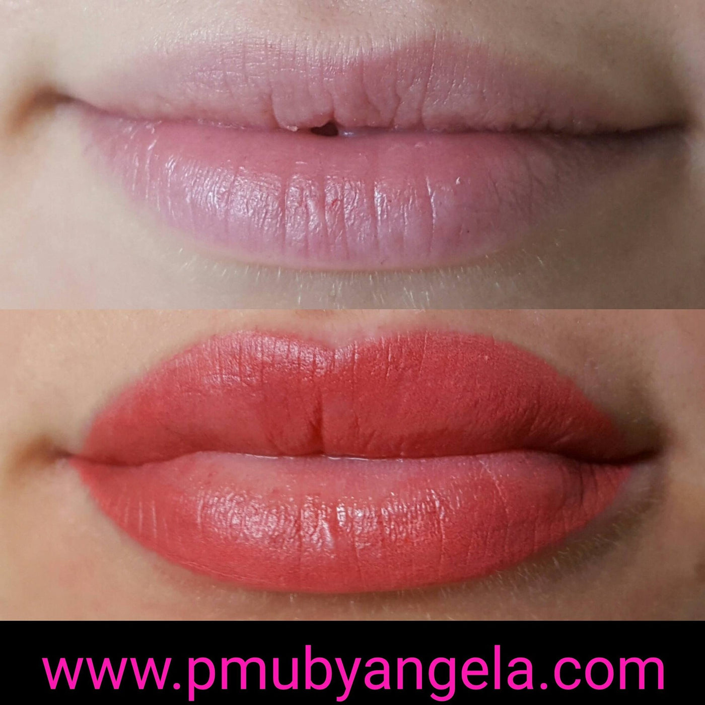 Li Pigments FOREVER LIPS Bubble Gum 12ml